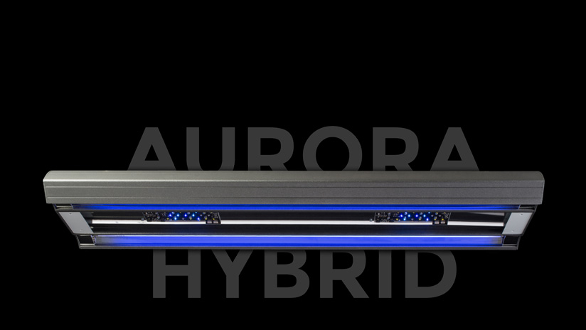 AURORA-HYBRID V4